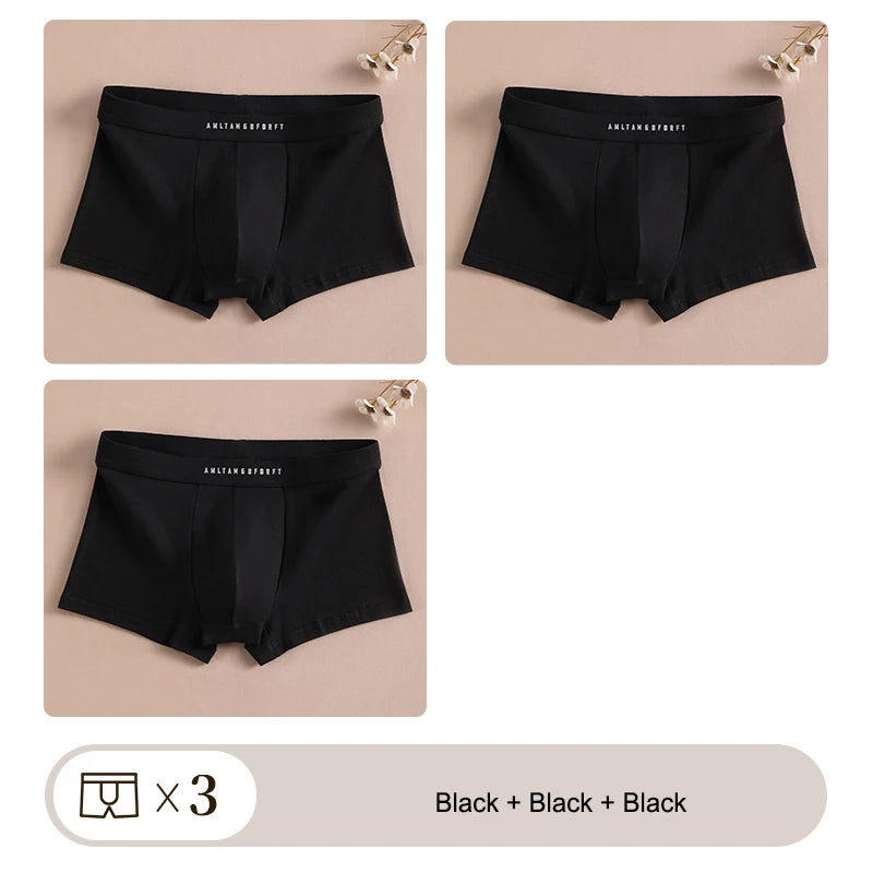 3PCS Sport Boxer Mann Atmungsaktive Geschenk Sportliche Boxer männer Platz Höschen Sexy Männer Unterwäsche Unterhose Briefs Shorts unterwäsche