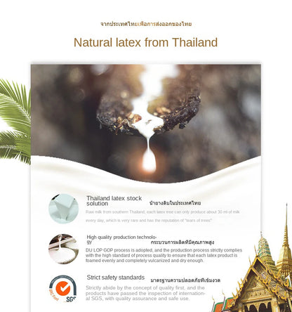 High-End-Latex-Quellen-Flüssigkeitsmatratzenoberteil, 100 % Naturlatex, faltbar, langsame Rückfederung, Thiland-Matten mit anpassbarem Baumwollbezug