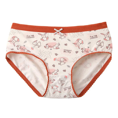 New Women Panties Antibacterial Cotton Lace Underwear Women's Floral Sweet Girls Briefs Mid-waist Shorts Female Lingerie M-XXL