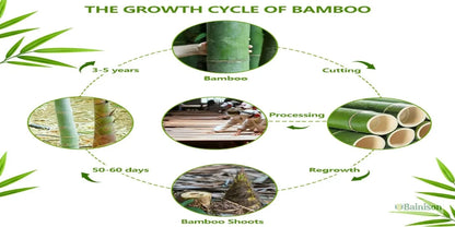 Bainison Bamboo Tray With Compartments-Snack Sorting Platter, Party Candy Buffet Display,Household Kitchen Outdoor Bamboo Tray.