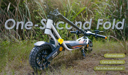 Kukirin A1 Folding Electric Scooter, 800W 48V 13Ah Battery, 10 "Vacuum Tire, 45 km/h Max Speed 45km Range Front & ReverDisc Brake