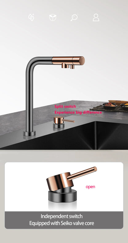 ASRAS Kitchen Sink Stainless Steel Nano Grey Kitchen Sink with Built-in Food Purifier, Hidden Cover & Adjustable Lift Faucet