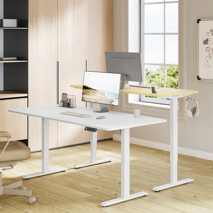 WOLTU Elektrischer stehender Computertisch, höhenverstellbarer, ergonomischer Arbeitstisch mit USB-Ladeanschluss und Speichersteuerung