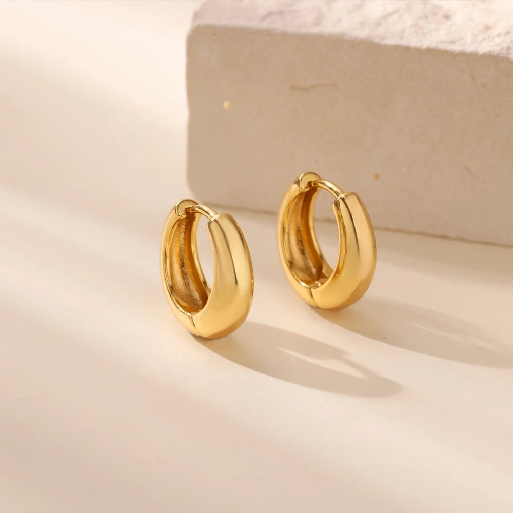 Classic Hoop Earrings for Women Girls Gold Color Chunky Stainless Steel Earrings 2025 Trend New in Minimalist Ear Jewelry aretes.