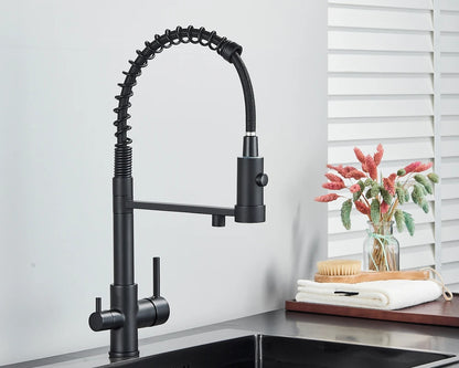 Black Filtered Kitchen Water Filter Kitchen Faucets Dual Spout Filter Faucet Mixer Water Purification Water Crane For Kitchen