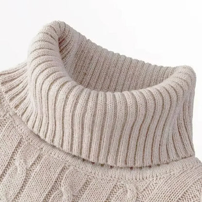 Autumn Winter Men's Sweater Warmth Turtleneck Jacquard Slim Fit Sweaters Solid Color Basic Style Fahion Knitted Pullovers.