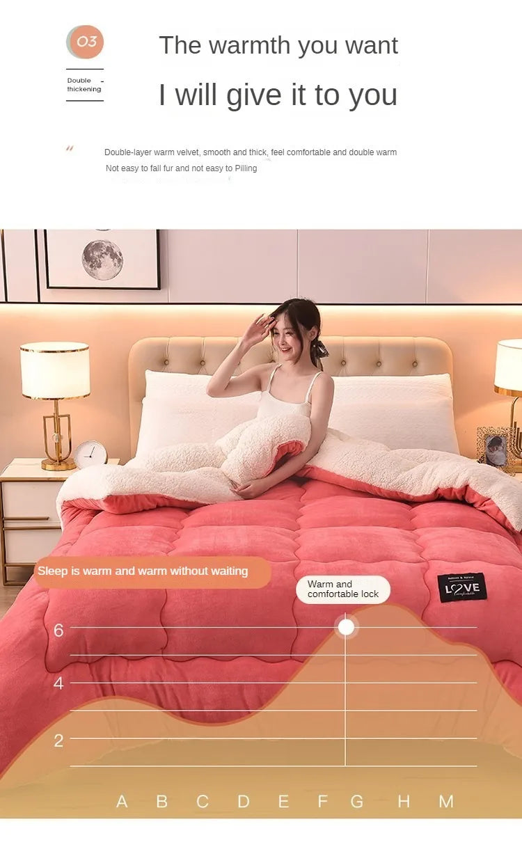 New Super Warm Lamb Wool Quilt Winter Thickened Cotton Quilt Warm Cotton Double sided Velvet Soft Extra Large Blanket.