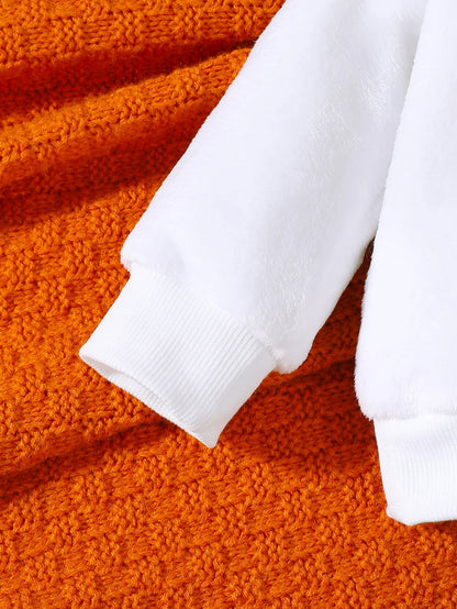 Baby Boy Autumn And Winter Cartoon Dinosaur Embroidery Hoodie Plush Two-piece Set.