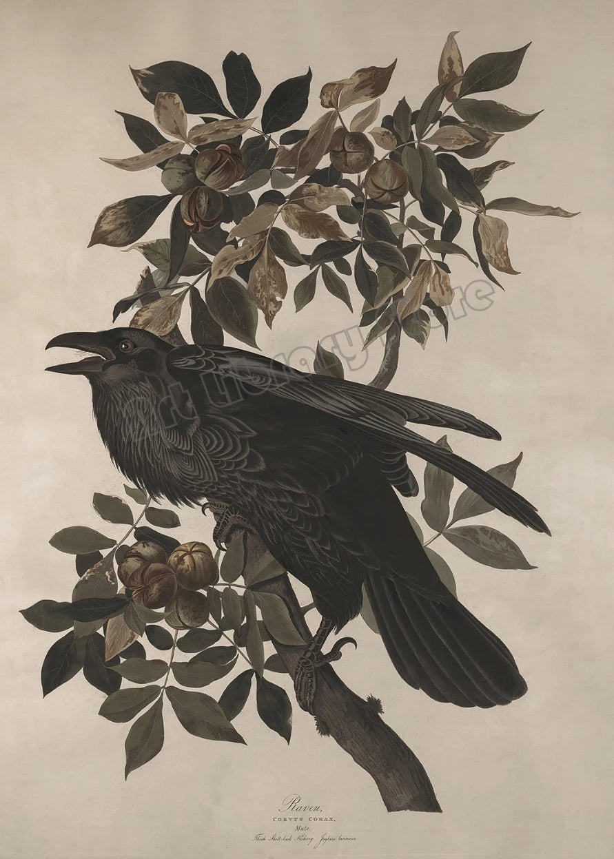 Dark Academia Woodland Moth Medusa Portrait Victorian Gothic Aesthetic Poster Canvas Painting Wall Art Pictures Home Decor Gift.