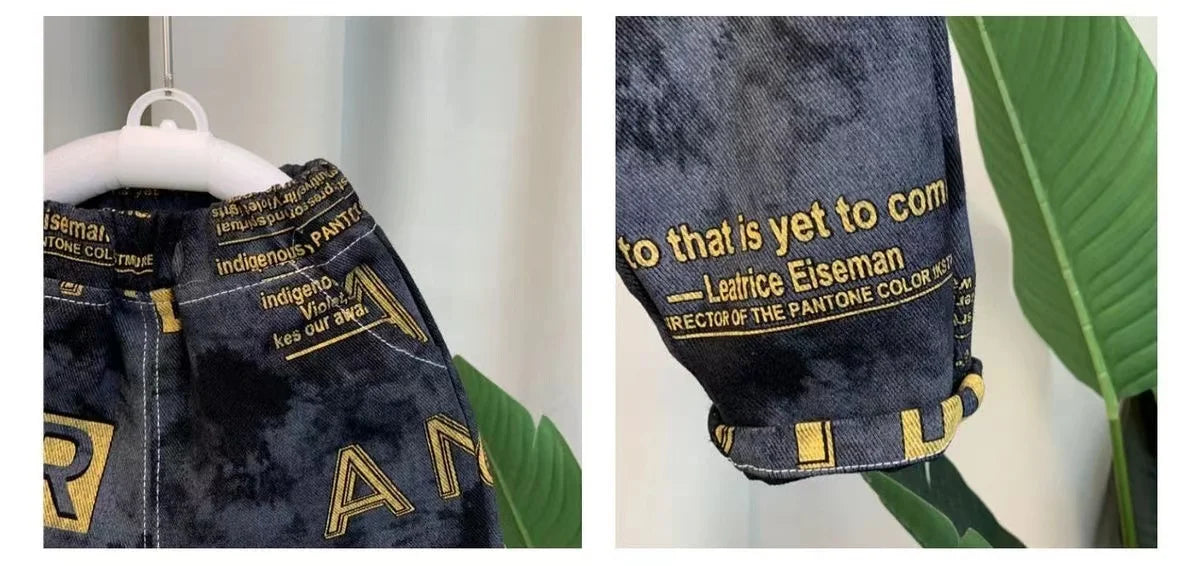 Boys Set Spring and Autumn 2024 New Children's Handsome Clothes Trendy Baby Autumn Fashion Cowboy Two Piece Set Kids Outfits.