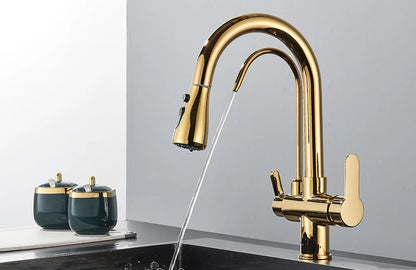 Quyanre Matte Black Filtered Crane For Kitchen Pull Out Spray 360 Rotation Water Filter Tap Three Ways Sink Mixer Kitchen Faucet