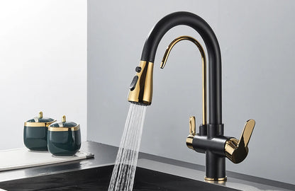 Quyanre Matte Black Filtered Crane For Kitchen Pull Out Spray 360 Rotation Water Filter Tap Three Ways Sink Mixer Kitchen Faucet
