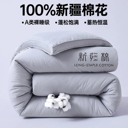 2025 new class A Xinjiang cotton thickened winter quilt spring and autumn quilt pure cotton quilt student dormitory warm