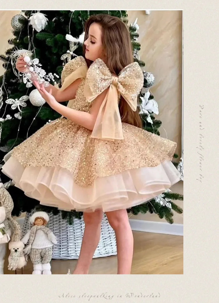 2024 neue Mädchen kleider für formelle Anlässe große Schleife und flauschige Ballett leistung Ballkleid Geburtstags kind Prinzessin Kleid.