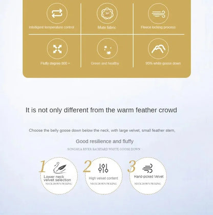 Down duvet 95 white goose down five-star hotel warm double single duvet core goose down duvet.