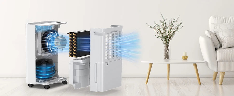 LOEFME 2L Dehumidifier Moisture Absorbers Home Air Dryer Electric Dehumidifier 12L/Day Dehumidification Timer 3 Modes W/ 3M Hose.