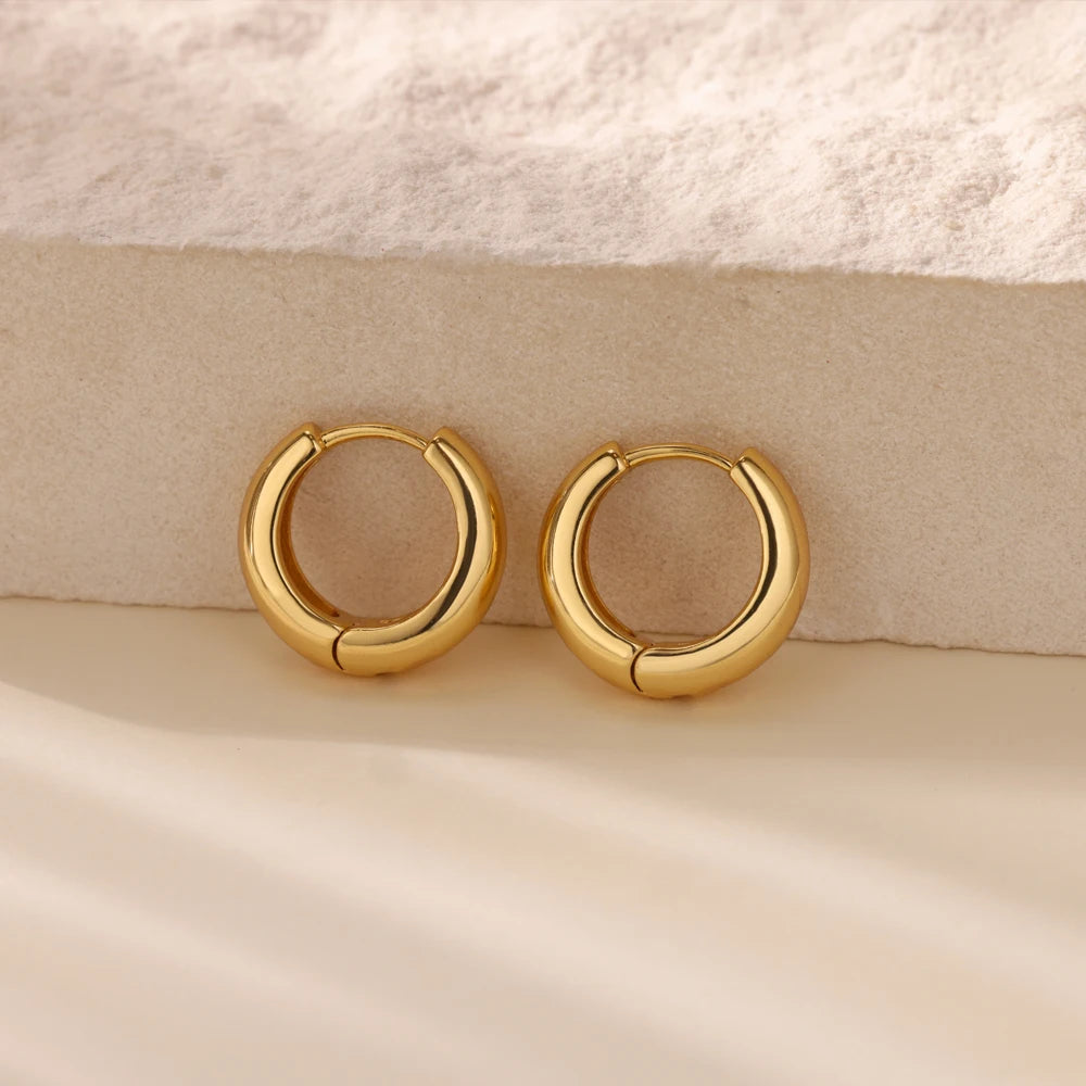 Classic Hoop Earrings for Women Chunky Stainless Steel Gold Color Earring 2025 Trend New in Minimalist Pendientes Jewelry aretes.