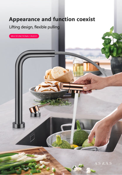 ASRAS Kitchen Sink Stainless Steel Nano Grey Kitchen Sink with Built-in Food Purifier, Hidden Cover & Adjustable Lift Faucet