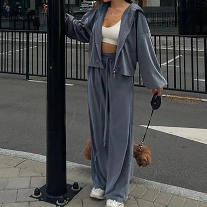Women Autumn Hooded Coat Two Pieces Sets, Solid Patchwork Wide Leg Pants Chic Outfit, New Long Sleeve Casual Simple Ladies Suits