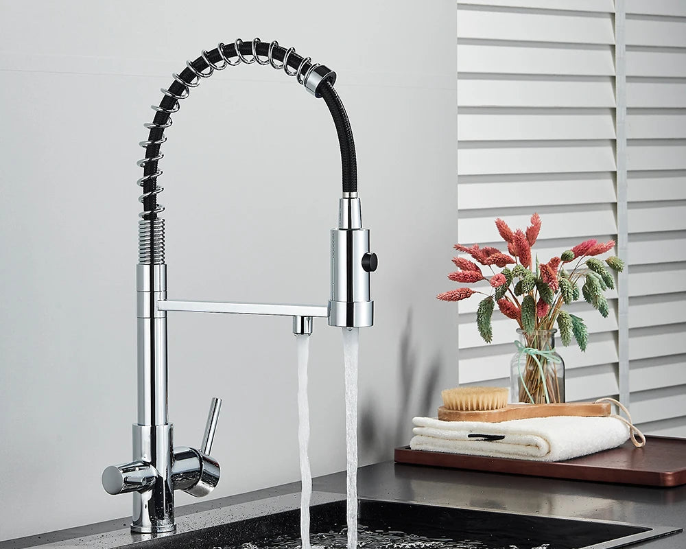 Black Filtered Kitchen Water Filter Kitchen Faucets Dual Spout Filter Faucet Mixer Water Purification Water Crane For Kitchen