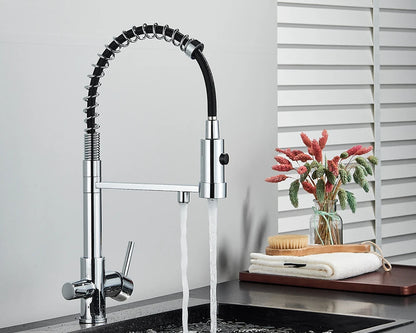 Black Filtered Kitchen Water Filter Kitchen Faucets Dual Spout Filter Faucet Mixer Water Purification Water Crane For Kitchen