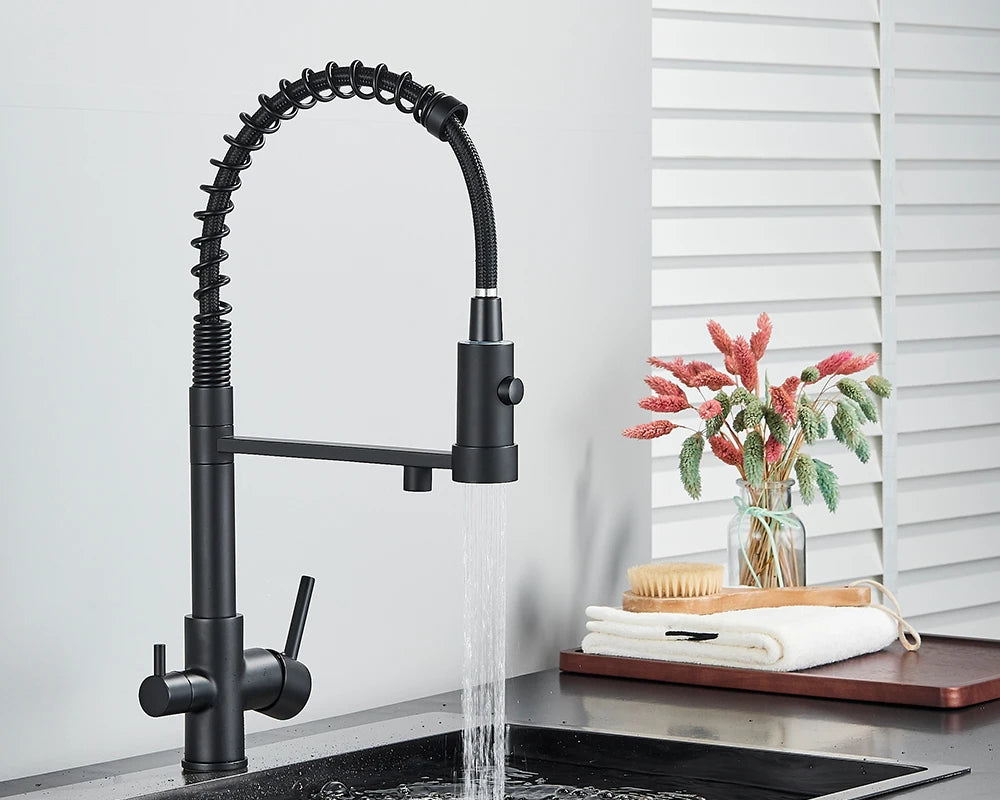 Black Filtered Kitchen Water Filter Kitchen Faucets Dual Spout Filter Faucet Mixer Water Purification Water Crane For Kitchen