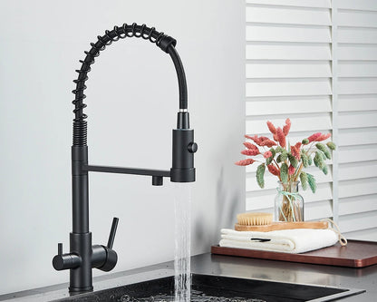 Black Filtered Kitchen Water Filter Kitchen Faucets Dual Spout Filter Faucet Mixer Water Purification Water Crane For Kitchen