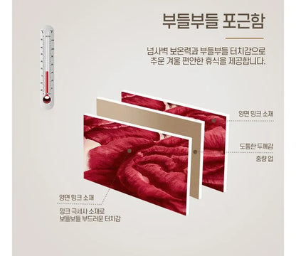 Winter Quilt Thick Warm Fluffy Blankets Super Soft Raschel Stitch Double Layer Winter Mink Throw Fat Quilts Double Size Blanket.