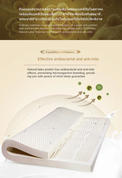 Top-Matratze aus 100 % Naturlatex, hochwertige Latexquelle, flüssig, faltbar, langsame Rückfederung, chinesische Matten mit anpassbarem Baumwollbezug