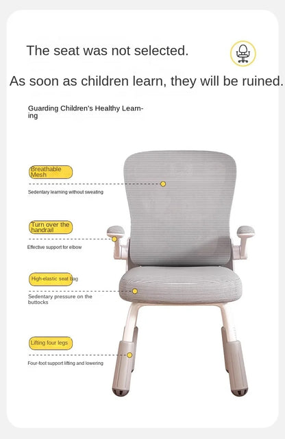 Computerstuhl, Heimsitz, Taille, Studentenschreibtisch, Arbeitsstuhl mit Lift und verstellbarer Rückenlehne