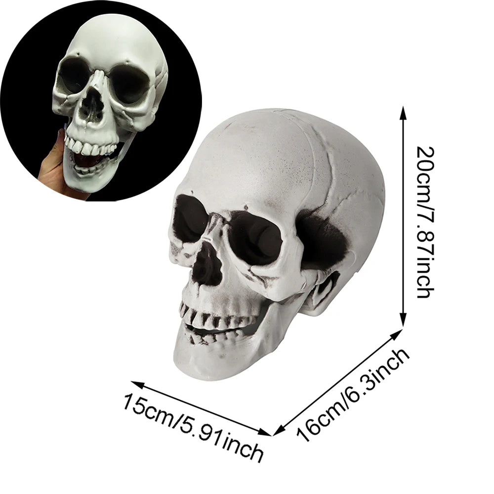 Halloween-Schädel-Dekoration, realistischer Kunststoff-Schädel, Kopfskelett, Halloween-Party, Haushof-Dekoration, Spukhaus-Horror-Requisiten.
