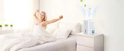 LOEFME Silent Dehumidifier 1.0L Portable Air Double Dehumidifier Dryer with LED Light Area 5–20m² for Home Bedroom living Room.