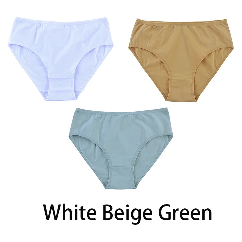 3PCS/Set Women Sexy Seamless Cotton Panties Big Size Underwear Female Underpants Girls 6 Solid Color Soft Briefs Lingerie 8815.