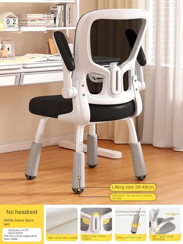 Computerstuhl, Heimsitz, Taille, Studentenschreibtisch, Arbeitsstuhl mit Lift und verstellbarer Rückenlehne