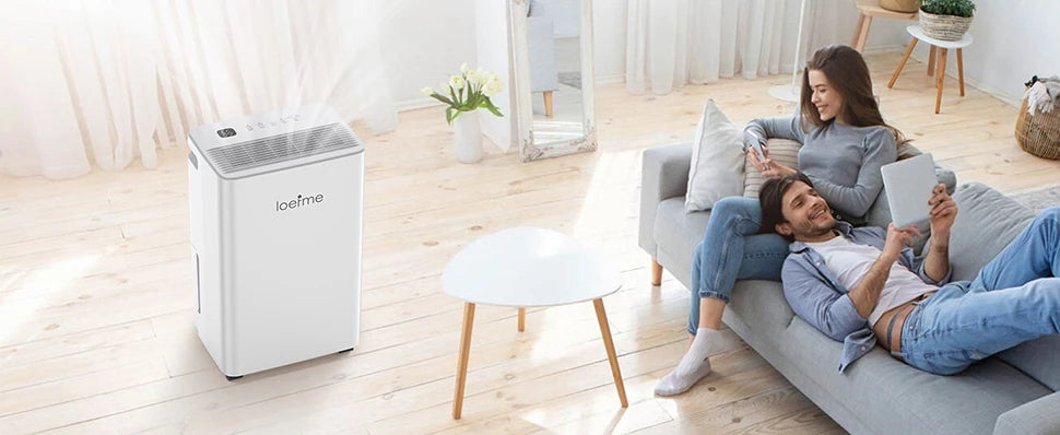 LOEFME 2L Dehumidifier Moisture Absorbers Home Air Dryer Electric Dehumidifier 12L/Day Dehumidification Timer 3 Modes W/ 3M Hose.