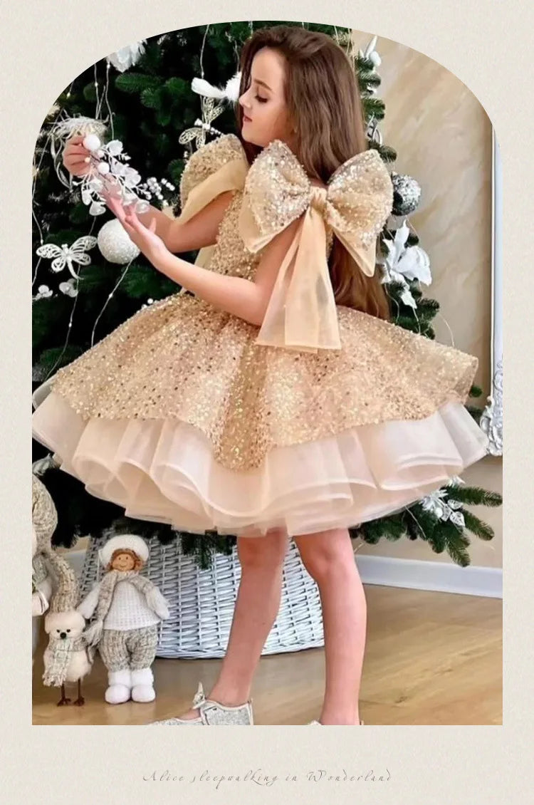 2024 neue Mädchen kleider für formelle Anlässe große Schleife und flauschige Ballett leistung Ballkleid Geburtstags kind Prinzessin Kleid.