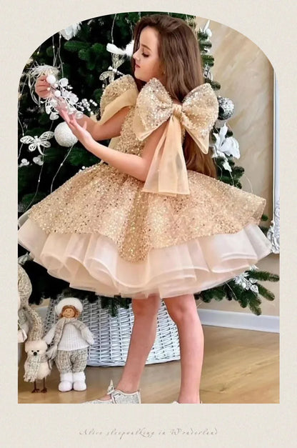 2024 neue Mädchen kleider für formelle Anlässe große Schleife und flauschige Ballett leistung Ballkleid Geburtstags kind Prinzessin Kleid.