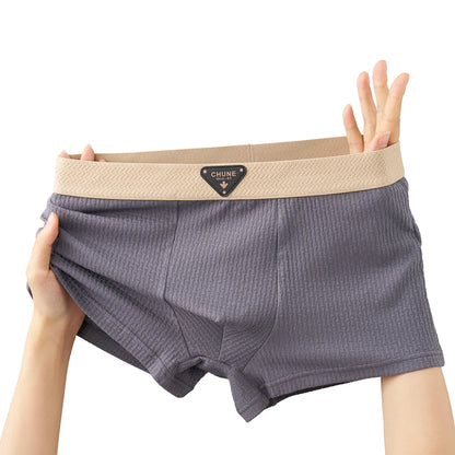 3 Teile/paket 100% Baumwolle Solide Stricken Gestreiften männer Höschen Super Weiche Hygroskopischen Atmungsaktive Boxer Hohe Elastische Taille Mann Unterwäsche