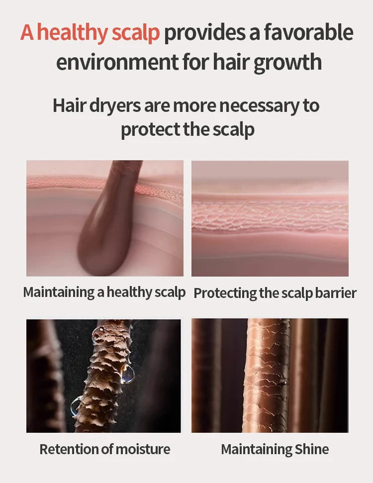 5 in 1 Professional Hair Dryer, with Hot and Cold Air Functionality - Lightweight and Thermostatic Styling Tool for Smooth Hair