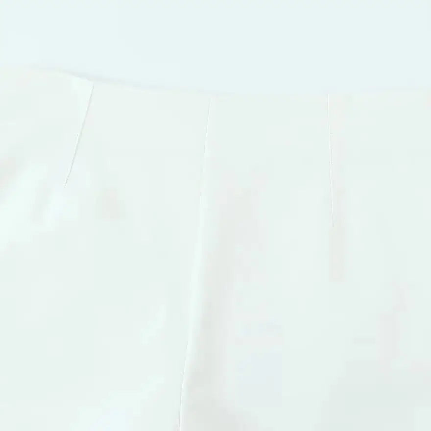 ZBZA Women High Waist A-line Shorts Loose Fit Double Pocket Zipper Solid Color Casual Mini Shorts Spring Summer New Chic Shorts.