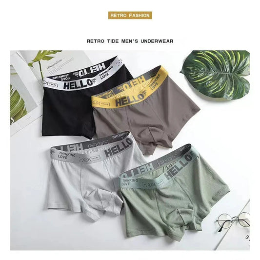 5PCS Boxer Höschen Männer Brief Unterwäsche Badehose Sexy Unterhose Atmungsaktivem Weiche Baumwolle Höschen Boxer Shorts Plus Größe