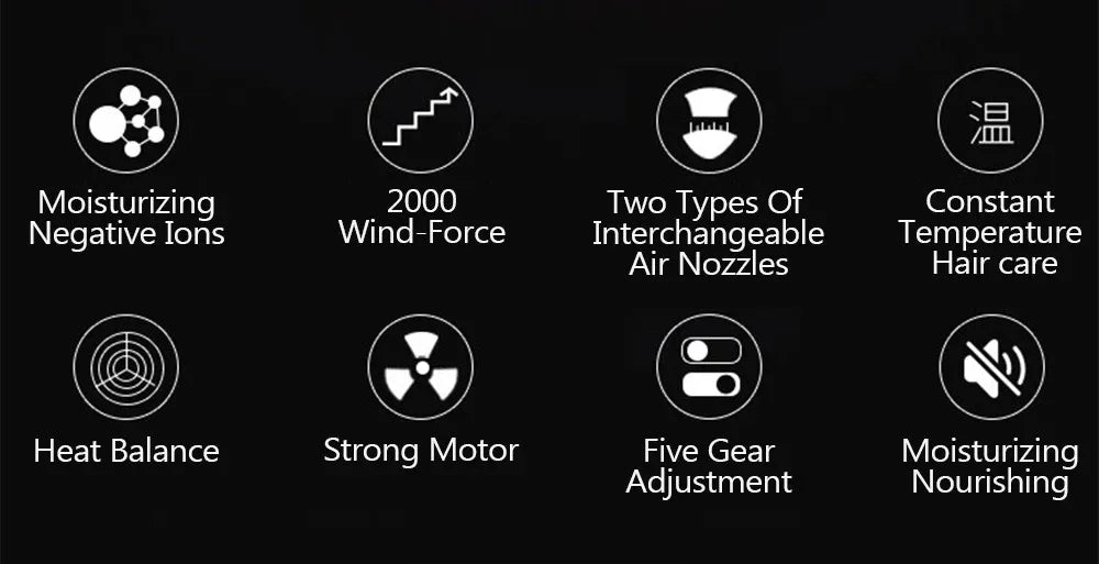 High-Power Ionic Hair Dryer Fast Heating and Hot/Cold 9 Gears Adjustment Home Professional Hairdryer Blow Dryer with Accessories