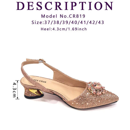 Sandals Woman Summer 2024 Hot Selling Design Pointed Toe Thin Heels Mature Ladies Shoes Matching Bag Set in Red Color.