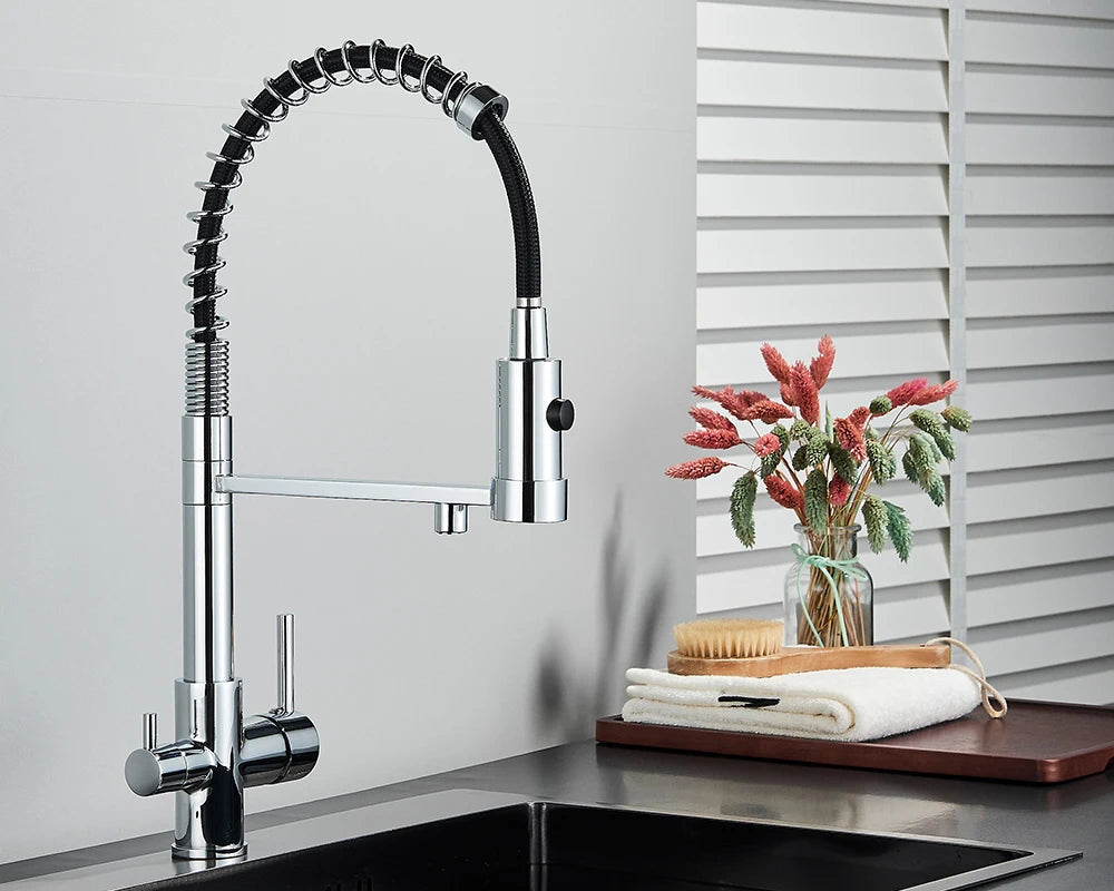 Black Filtered Kitchen Water Filter Kitchen Faucets Dual Spout Filter Faucet Mixer Water Purification Water Crane For Kitchen