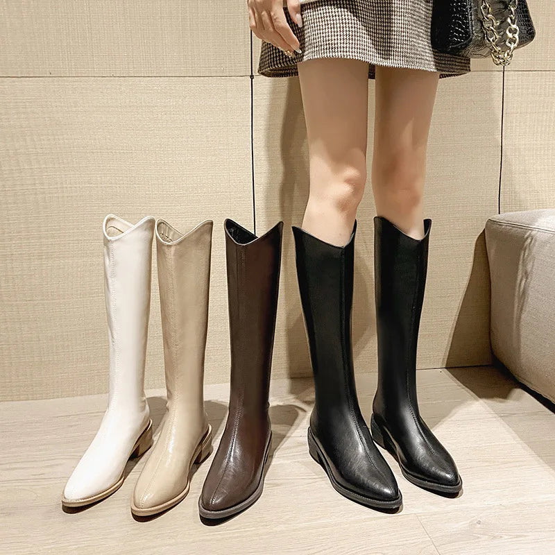 Winter New Pointy Mid-heel Knee-high Boots Back Zipper Solid Color Heightening Car Stitch and Velvet Fashion Elegant High Boots.