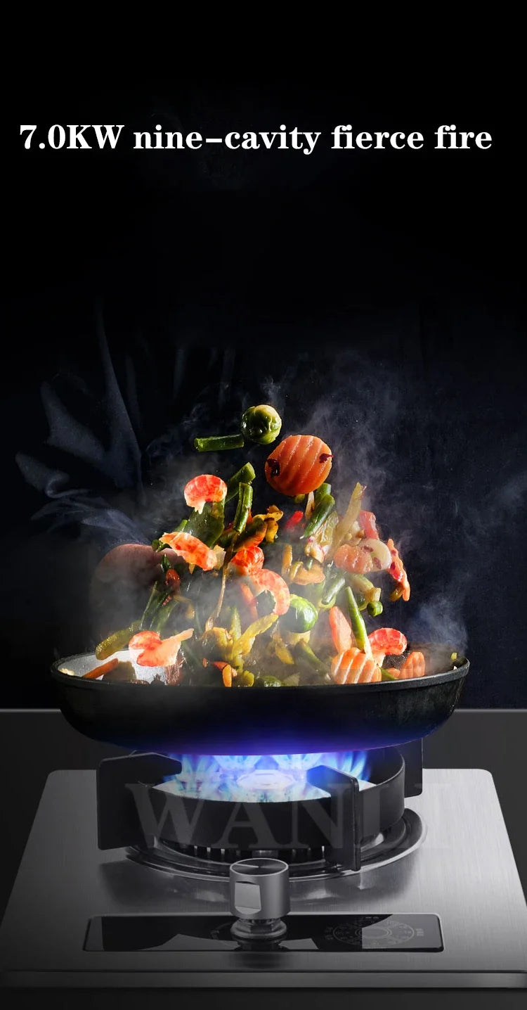 D09/D10/D11 Household Single-Burner Stove Embedded Gas Stove Natural Liquefied Gas Stove Kitchen Cooking Tools.