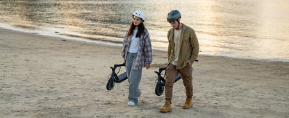 5TH WHEEL E30 ABE Adult Electric Scooter 350W Motor 36V 7.5AH Battery City Electric Scooter 8.5" Solid Tires Foldable E-Scooter.