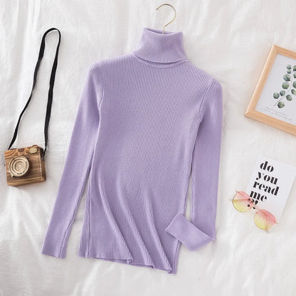 2025 Women Autumn Winter Casual Tops Women Turtleneck Sweater Knitted Soft Pullovers Cashmere Jumpers Basic Solid Soft Sweaters.