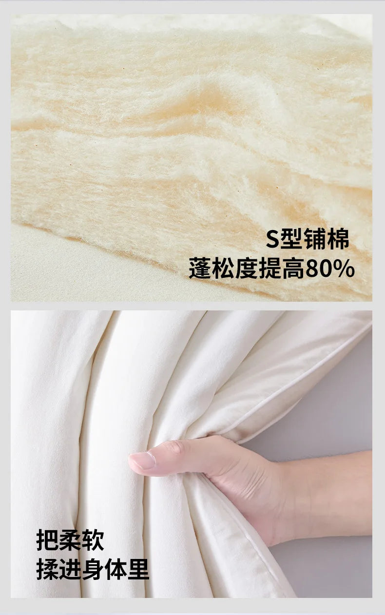 2025 new class A Xinjiang cotton thickened winter quilt spring and autumn quilt pure cotton quilt student dormitory warm.