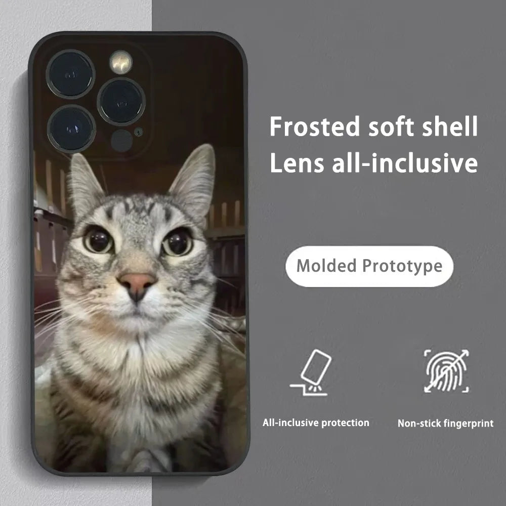Pet Cat Funny memes Phone Case For iPhone 16 15 14 13 Pro Max Plus Mini Frosted Soft Shell Funda.
